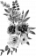 image-fleur-BW-ROT-right image-fleur-BW-ROT-right